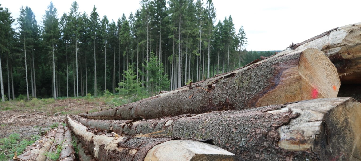 image d'illustration pour LA RÉGION GRAND EST APPORTE SON SOUTIEN À LA FILIÈRE FORÊT-BOIS