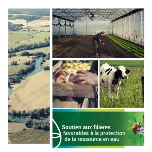 journee-dechange-filieres-favorables-a-la-ressource-en-eau-nappe-dalsace