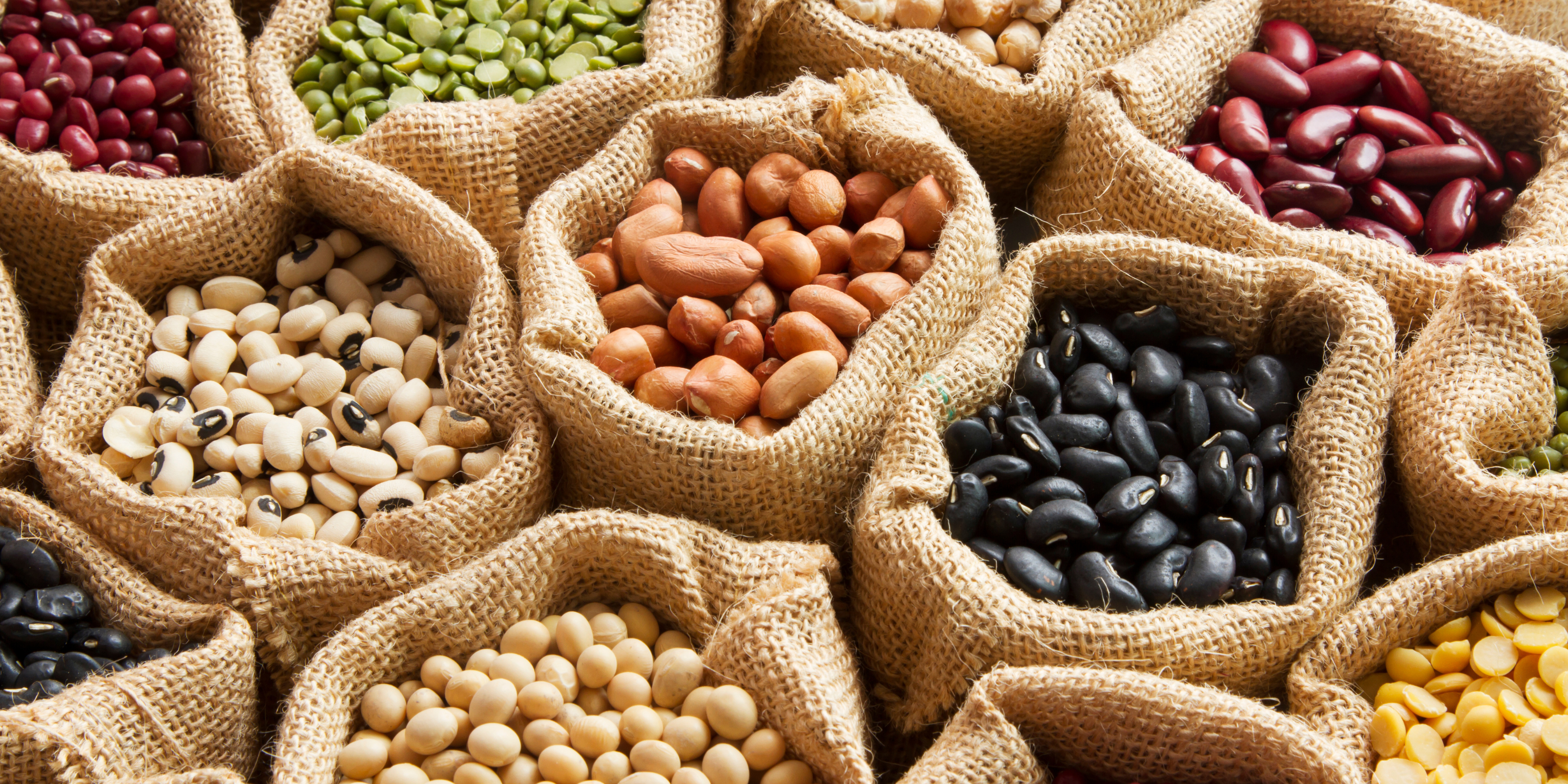 ami-proteines-vegetales