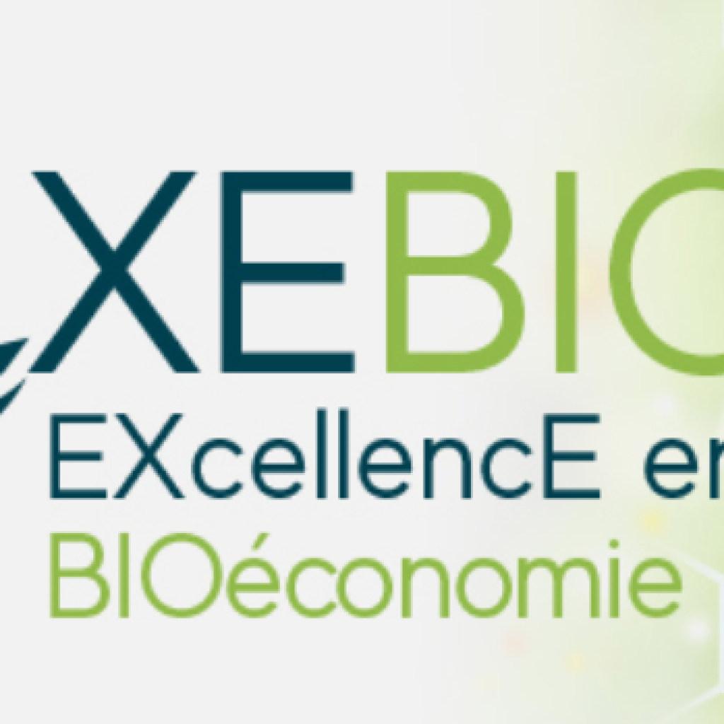 logo exebio