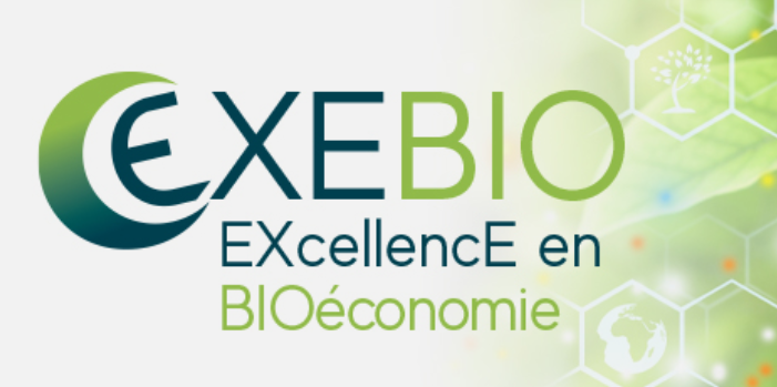 logo exebio