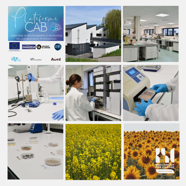 Laboratoire Proseed