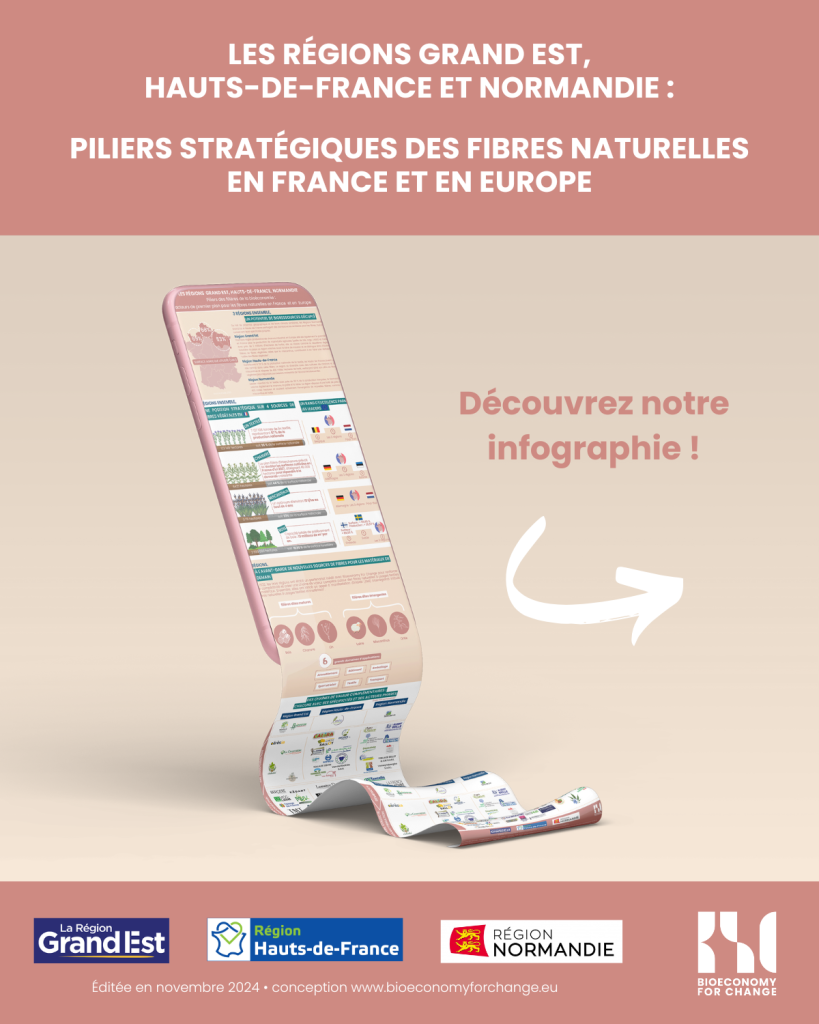 infographie fibres naturelles
