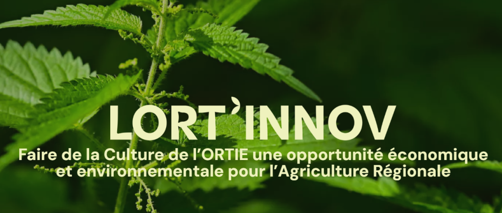 LORT’INNOV