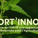 LORT’INNOV